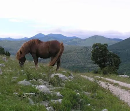 Διαμέρισμα Mare & Bartol Bribir (Primorje-Gorski Kotar)