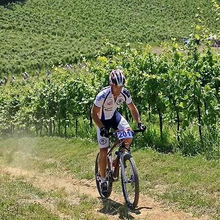 Apartamento Mare & Bartol *