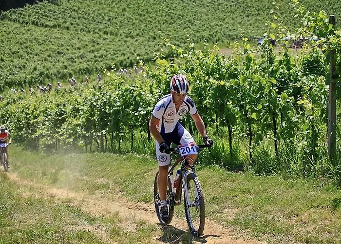 Apartament Mare&bartol *