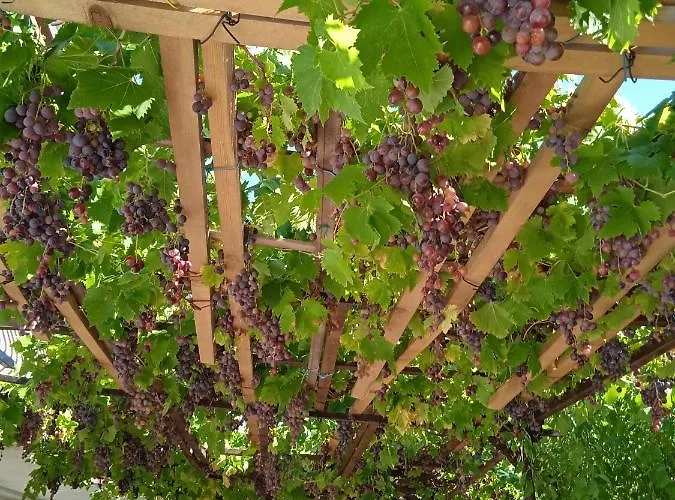 Mare&bartol Bribir (Primorje-Gorski Kotar)