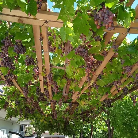 Mare & Bartol Bribir (Primorje-Gorski Kotar)